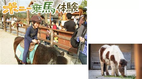 Image result for Micro Computer Systems Woking Minic Mini Computer