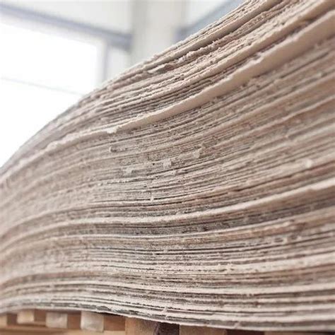 Wood & Paper Pulp - Pulp And Paper Trader - Wholesaler / Distributor ...