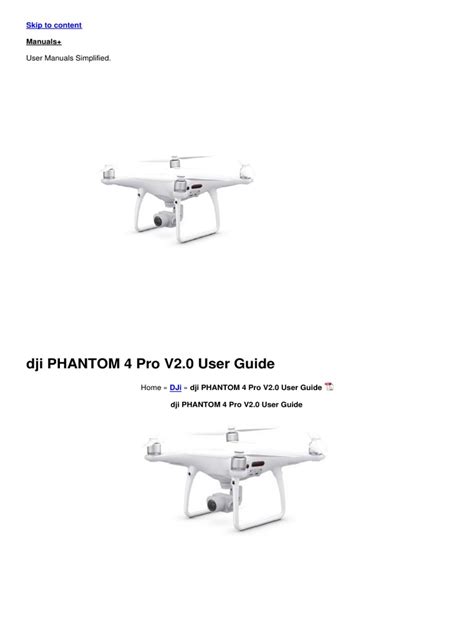 DJI Phantom 4 Pro Follow Me Tutorial 的图像结果