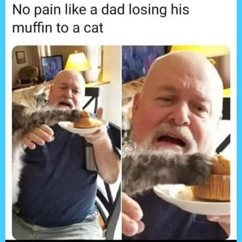 Clean Memes Compilation 的图像结果