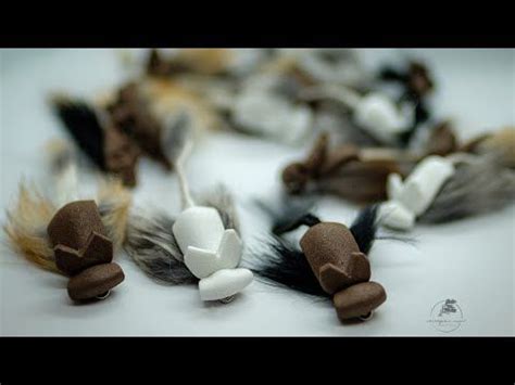 Image result for Master Splinter Fly