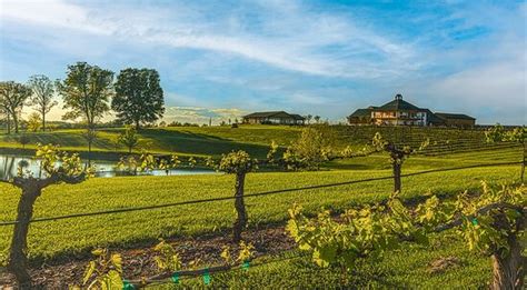 Rayson Winery opening! - Reviews, Photos - Rayson Winery and Vineyards ...