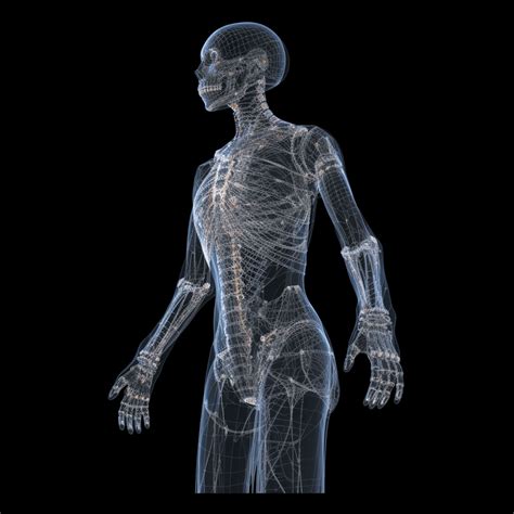 AI-powered Full-body Scans: Revolutionizing Preventive Medicine with ...