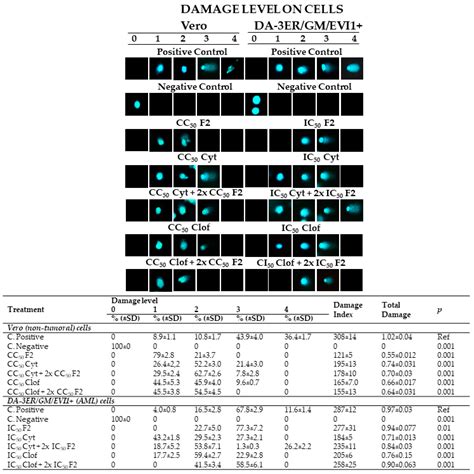 Enhancing Selectivity and Inhibitory Effects of Chemotherapy Drugs ...