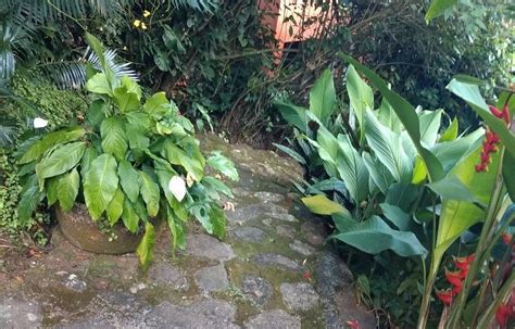 #AKZA E HOSTEL (Ilhabela, Brazil) - Hostel Reviews & Photos - Tripadvisor