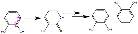 Magnetically Responsive PA6 Microparticles with Immobilized Laccase ...