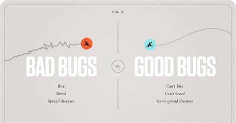 Google “fa il debug” all’ecosistema: milioni di zanzare per eliminare ...