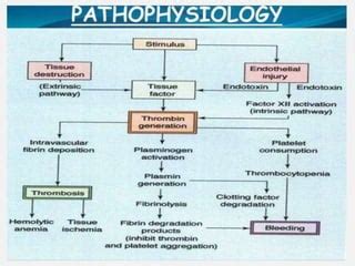 Clotting Disorders 的图像结果