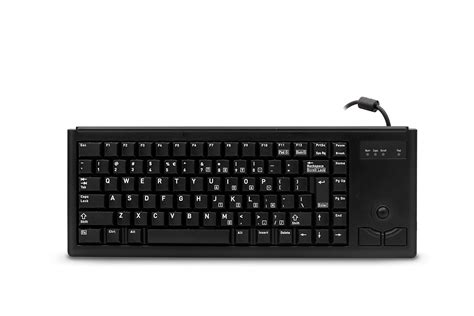 Amazon.in: Buy Cherry G84-4420LUBEU-2 Ultraslim Compact Keyboard with ...