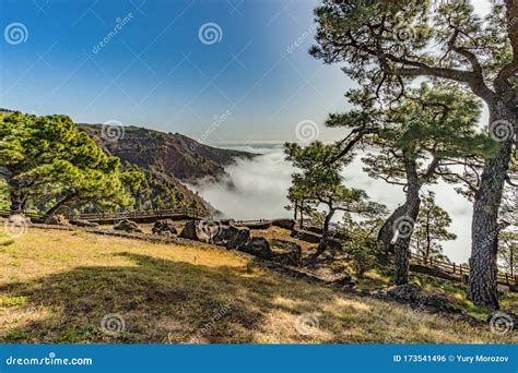 Mirador De Las Playas Located In Pine Tree Forest On El Hierro Island. Spectaculate Views From ...