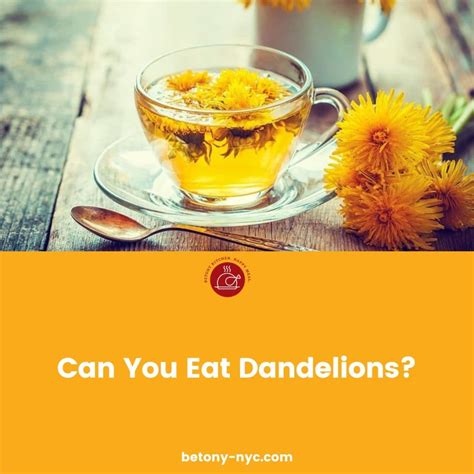 Can You Eat Dandelions? Is It Safe? - Betony