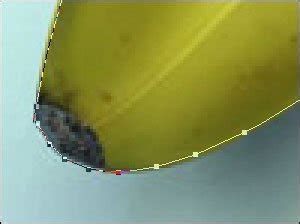 Photoshop Vector Mask Tutorial 的图像结果