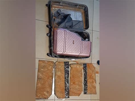 Mumbai: NCB seizes heroin worth Rs 24 crore from South African national
