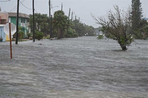 Image result for Florida Python Problem