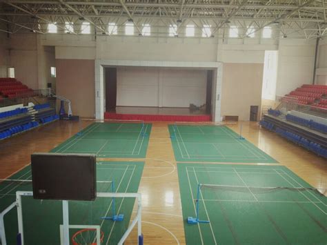 体育馆 的图像结果