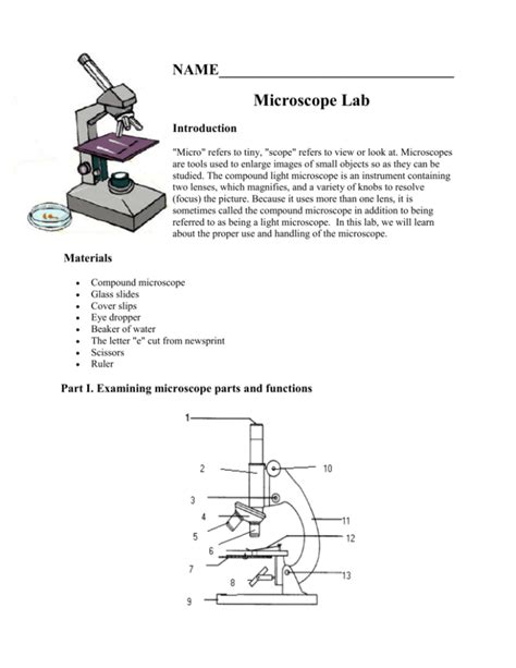 Image result for Introduction to Microscope Lab