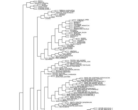 World Language Tree 的图像结果