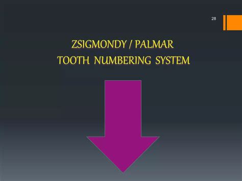 Image result for Tooth Numbering System