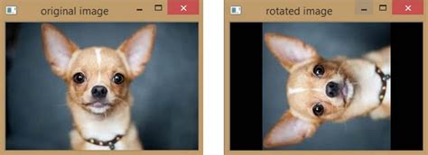 Image result for Python-Opencv Move Image