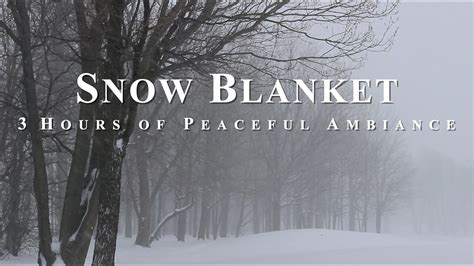 Image result for Snow Window ASMR