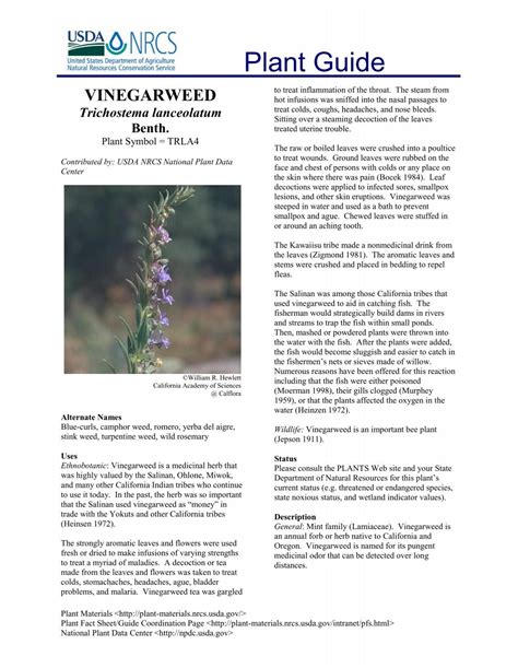 Plant Guide - USDA Plants Database - US Department of Agriculture