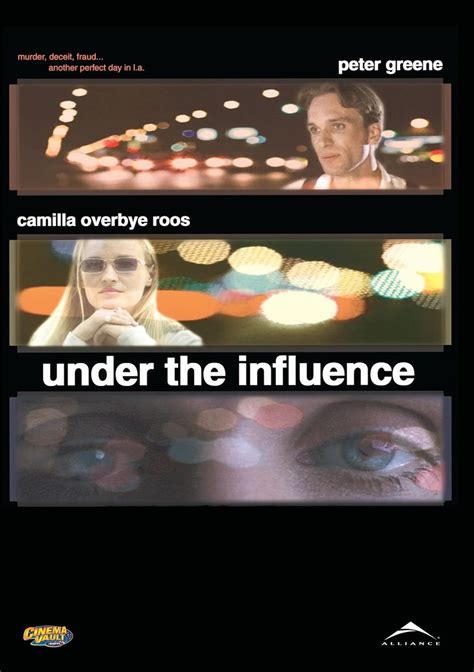 Under the Influence: Amazon.ca: Saul Stein, Camilla Overbye Roos, Jim ...