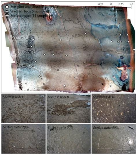 Generation of a Large-Scale Surface Sediment Classification Map Using ...