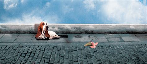 Elephant – Breaking Tunes