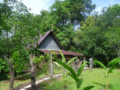 THE KEBUN (Kuching, Sarawak) - Lodge Reviews & Photos - Tripadvisor