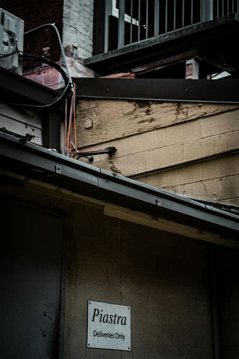 Youtube+Mp4+Hd+Dönüştürücü Photos, Download The BEST Free Youtube+Mp4 ...