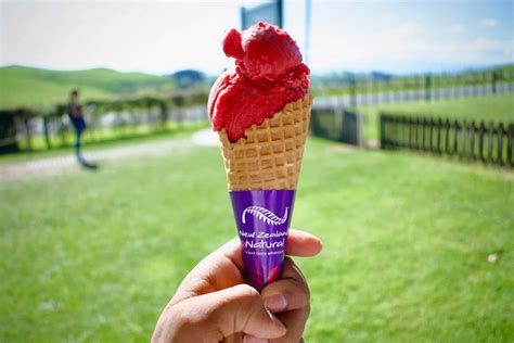 Indulge yourself in these sweet worldly ice cream facts - Faye blog