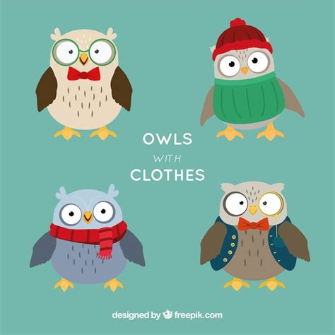 Packung mit vier Eulen mit Kleidung | Kostenlose Vektor