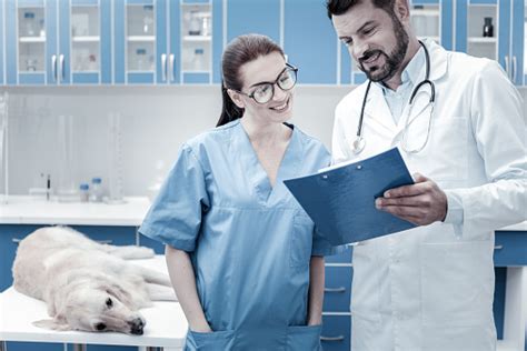 Positive Nice Veterinarians Working Together Stock Photo - Download ...