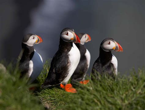 What to do in Iceland | InspiringTravellers.com