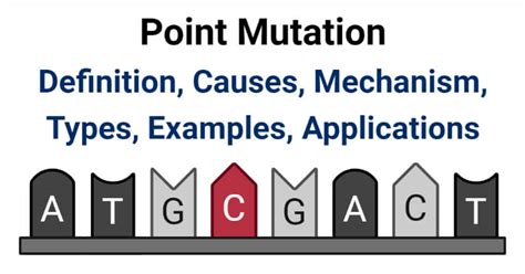 Image result for Point mutation Causes