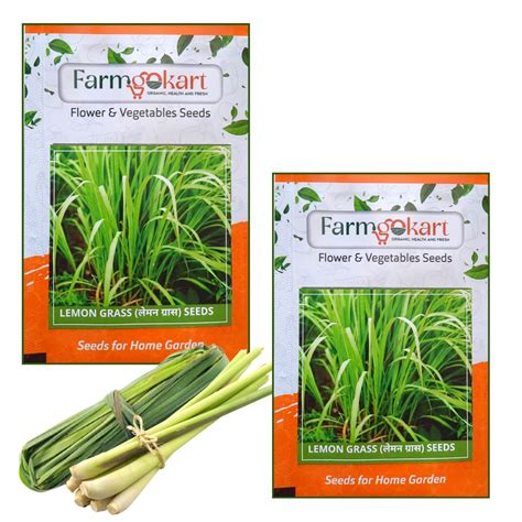 farmgo 2 Packets Of Lemon Grass Seeds |Easy To Grow | Best Suitable For ...