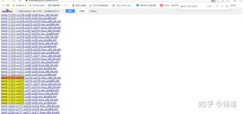 Python Import Torch Windows 的图像结果