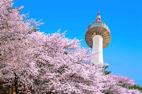 20 Things You Must Do In Seoul Seoul Travel South Korea Travel | Images ...