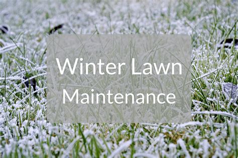 Winter Lawn Maintenance