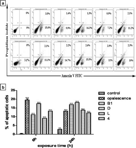 Image result for FACS Analysis Workflow