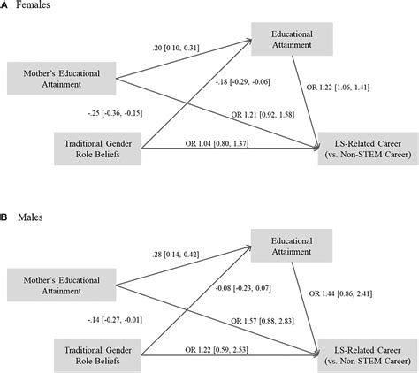 Non Traditional Gender Roles