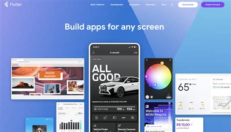 FLUTTER 的图像结果