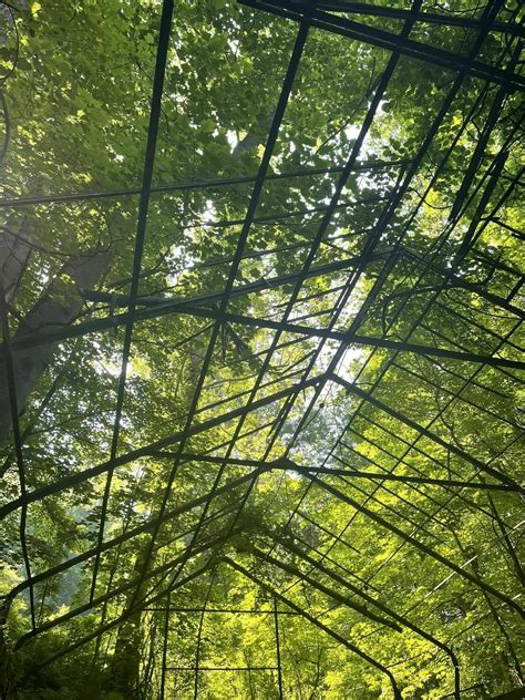 Cornish Estate Trail - New York | AllTrails