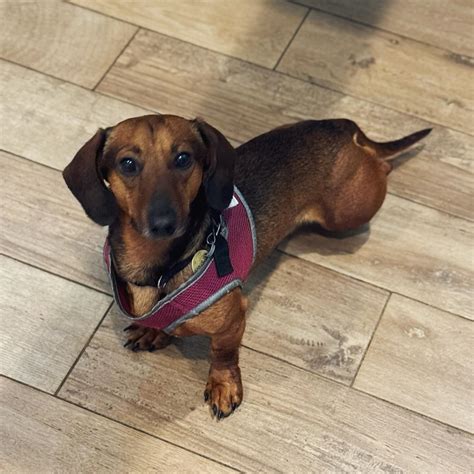 Bastrop Veterinary Hospital (@bastropvettx) • Instagram photos and videos