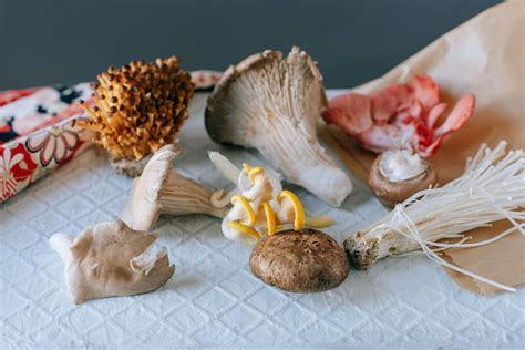 Does Distilled White Vinegar Kill Toenail Fungus