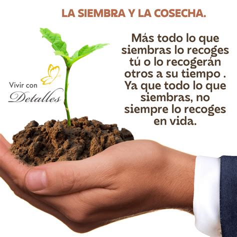 LA SIEMBRA Y LA COSECHA - Vivir con detalles | Cosecha, Siembras, Las ...