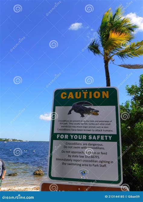 North America, USA, Florida, Key Largo, Cannon Beach Editorial Image ...