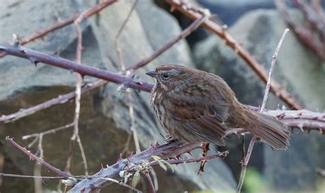 Images+Of+A+Christina+Piercing Photos, Download The BEST Free Images+Of ...