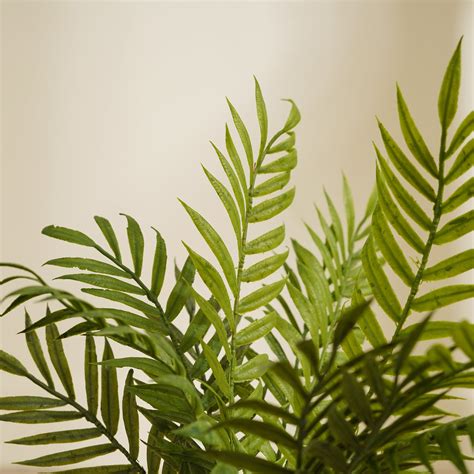 Shop Green Artificial Fern Plant with Pot - at Best Price Online in India