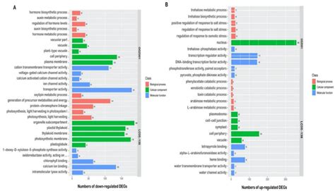 Comparative Transcriptome Analysis of Two Sugarcane Cultivars in ...